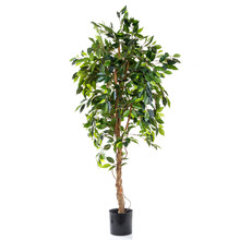 180cm Artificial Ficus Vine Tree