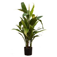 75cm Green & Yellow Artificial Cordyline Plant