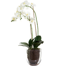 Faux Orchids with Glass Vase