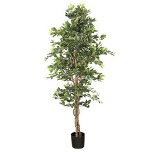 180cm Faux Ficus Retusa Bush Tree