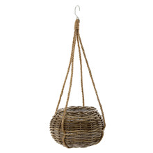 Cancun Hanging Basket