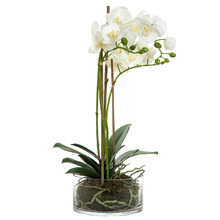 60cm White Faux Orchid with Round Vase