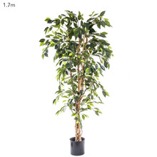 170cm Artificial Ficus Tree