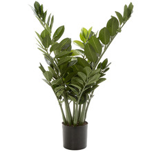 66cm Potted Faux Smargago Plant