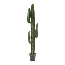 156cm Potted Faux Desert Cactus
