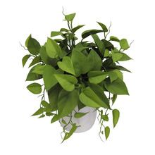 35cm Potted Faux Leaves