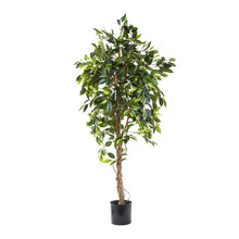 180cm Artificial Ficus Vine Tree