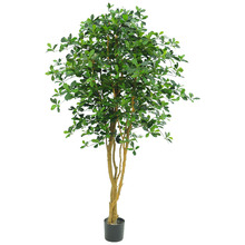 155cm Potted Faux Oriental Olive Tree