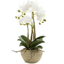 50cm Potted Faux Orchid