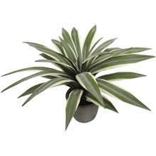 35cm Potted Faux Flax Leaf