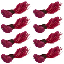 Feathered Bird Christmas Tree Clips (Set of 8)