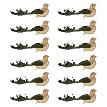 Black Bird Christmas Tree Clips (Set of 12)