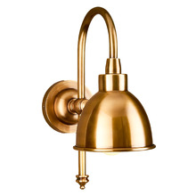 Diann Brass Gooseneck Wall Sconce