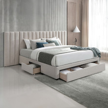 Audree Upholstered Queen Bed with Storage Drawers & Mattress