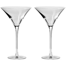 Duet 170ml Martini Glasses (Set of 2)