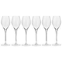 Harmony 300ml Prosecco Glasses (Set of 6)