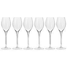 Harmony 280ml Prosecco Glasses (Set of 6)