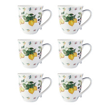 Frutta Scalloped 440ml Porcelain Coupe Mugs (Set of 6)