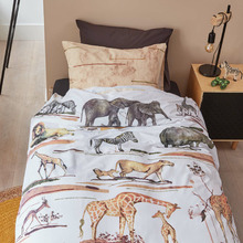 Big Five Cotton Single Quilt Cover Set