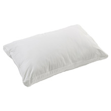 Good Night Big & Bouncy Standard Pillow