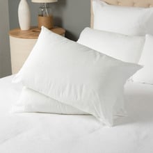 Classic Cotton Standard Pillows (Set of 2)