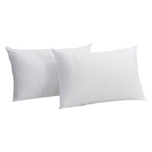 Quick Dry Medium Standard Pillows (Set of 2)