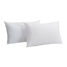 Quick Dry Easy Wash Standard Kids' Pillows (Set of 2)