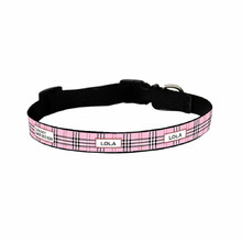 Very Furberry Pink Collar