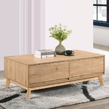 Anderson Rectangular Coffee Table with Storage