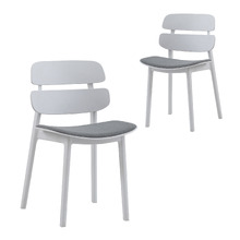 Damon Dining Chairs (Set of 2)