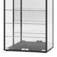 Waldo 2 Door Glass Display Cabinet