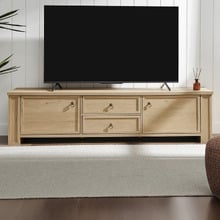 Shera 2 Door TV Unit