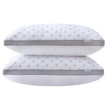 Amaia Bamboo Pillows with Pillow Protectors (Set of 2)