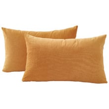 Adeline Rectangular Velvet Cushion Covers (Set of 2)