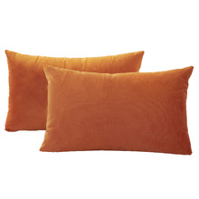 Adeline Rectangular Velvet Cushion Covers (Set of 2)