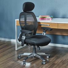 Howe Deluxe Ergonomic Home Office Chair with Headrest