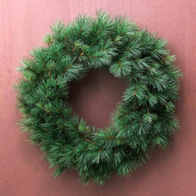 Classic Pine Premium Wreath