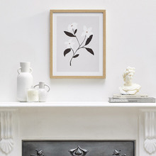 Daisies In Bloom Framed Paper Print Wall Art