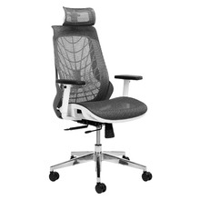 Grey Net Ergonomic Office Chair with Lumbar Support