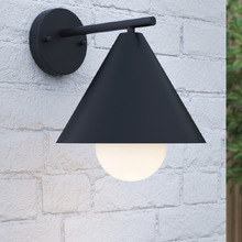 Riley Outdoor Wall Light