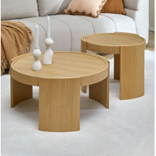 2 Piece Michaela Coffee & Side Table Set