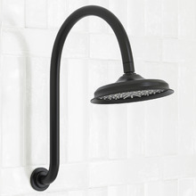 Stanwell Matte Black Gooseneck Shower Arm & Head