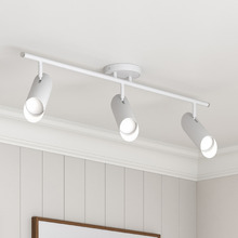 Toni 3 Light Steel Spotlight
