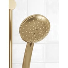 Clovelly Brushed Gold Round Rail Shower