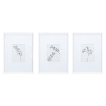 Wide Mat 5.1 x 7" Gallery Wall Photo Frames (Set of 3)