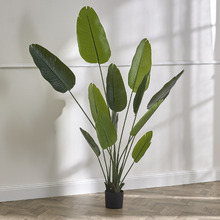 180cm Potted Faux Banana Leaf Plant
