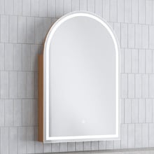 Soho 600mm Arch LED Mirrored Shaving Cabinet
