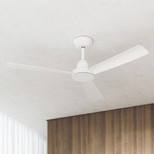Quinn 122cm DC Ceiling Fan with Remote Control