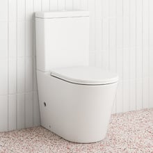 Delta Straight Back to Wall Toilet Suite