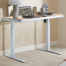 Leo Sit & Stand Desk with Wireless Charging Station